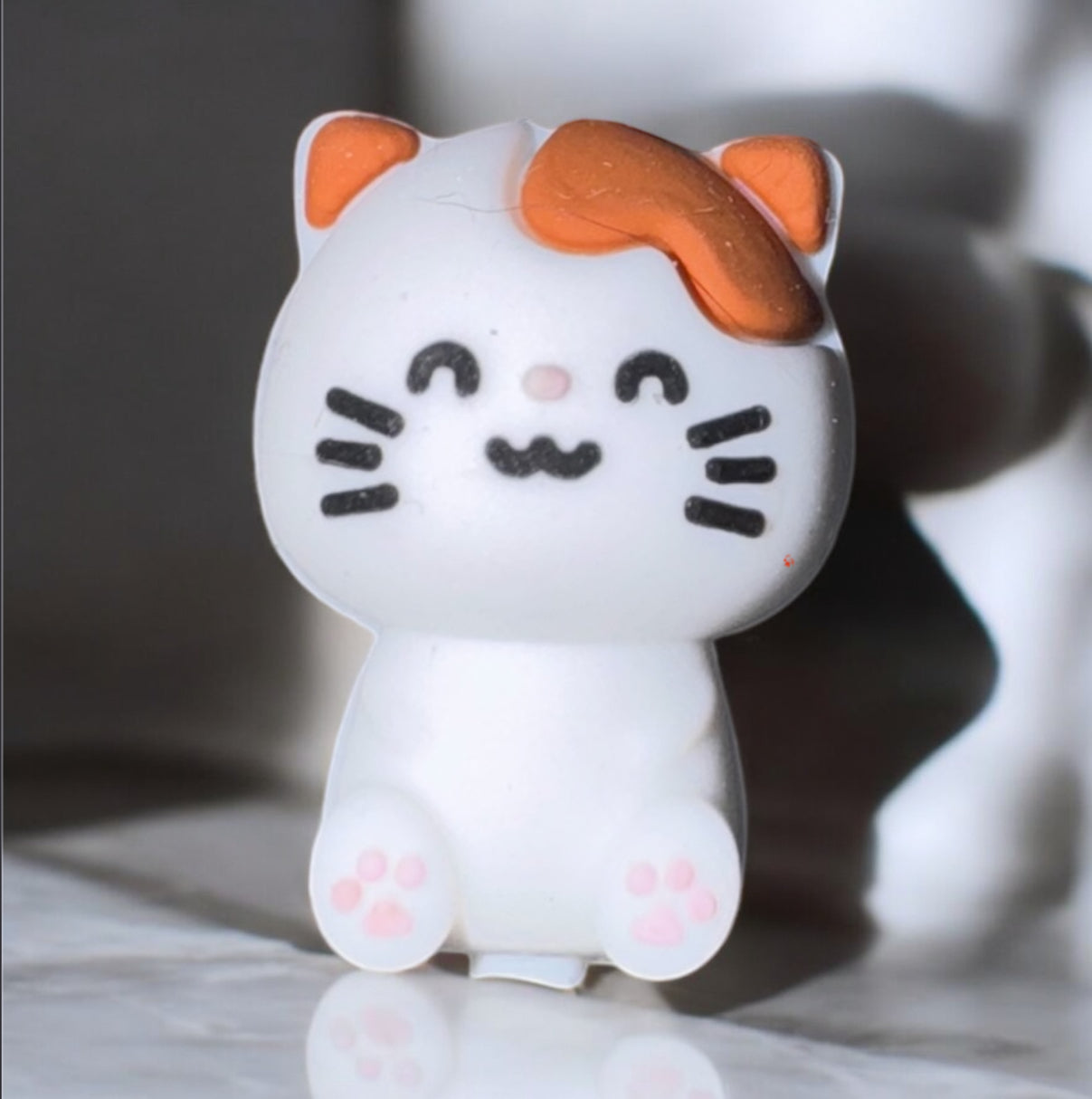 3D Cat Silicone Focal