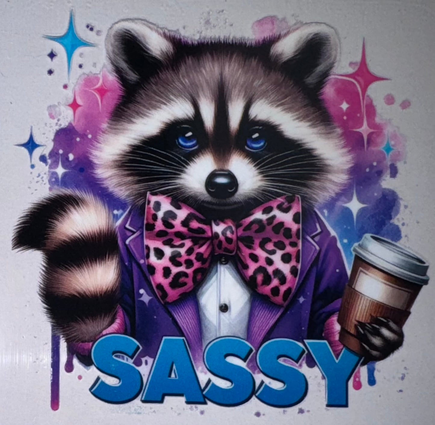 Sassy Raccoon Decal