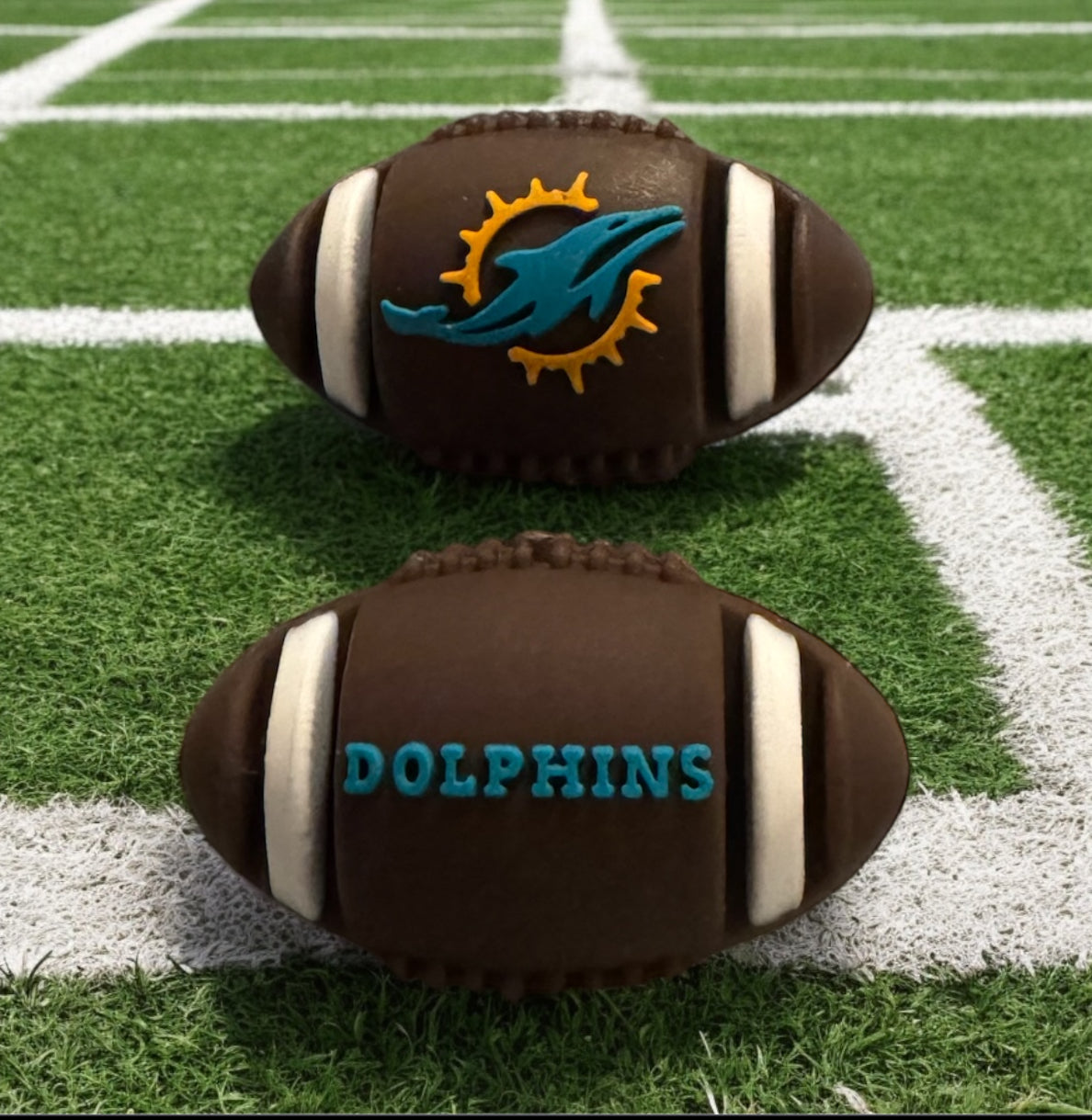 Dolphin 3D Football Focal