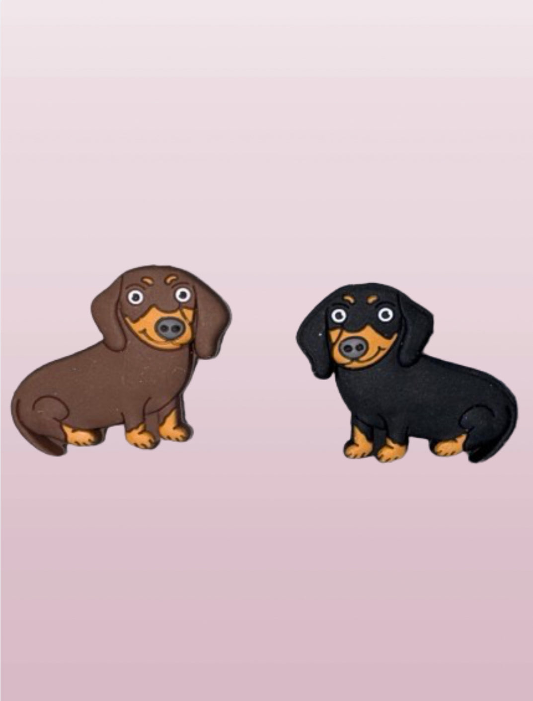 Dachshund Focal