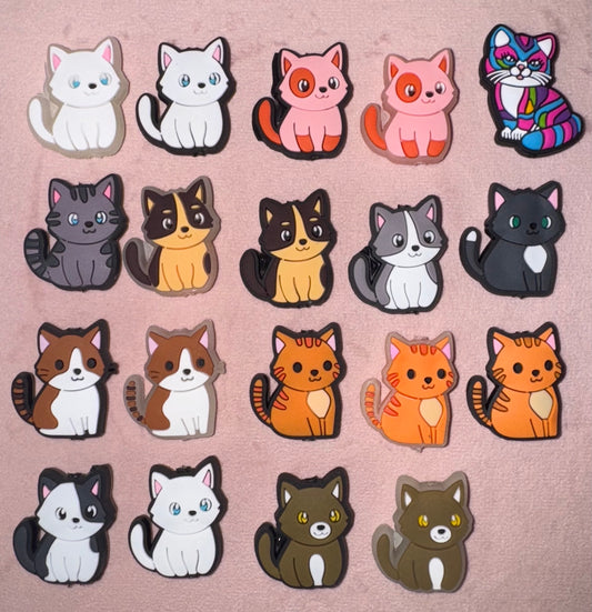 Cat Focal