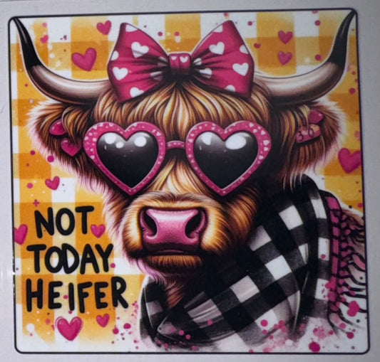 Not Today Heifer Highland Cow Decal